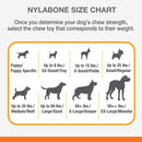 Nylabone Puppy Chew Double Action Toy Up to 25 lbs. SM/Regular Nylabone