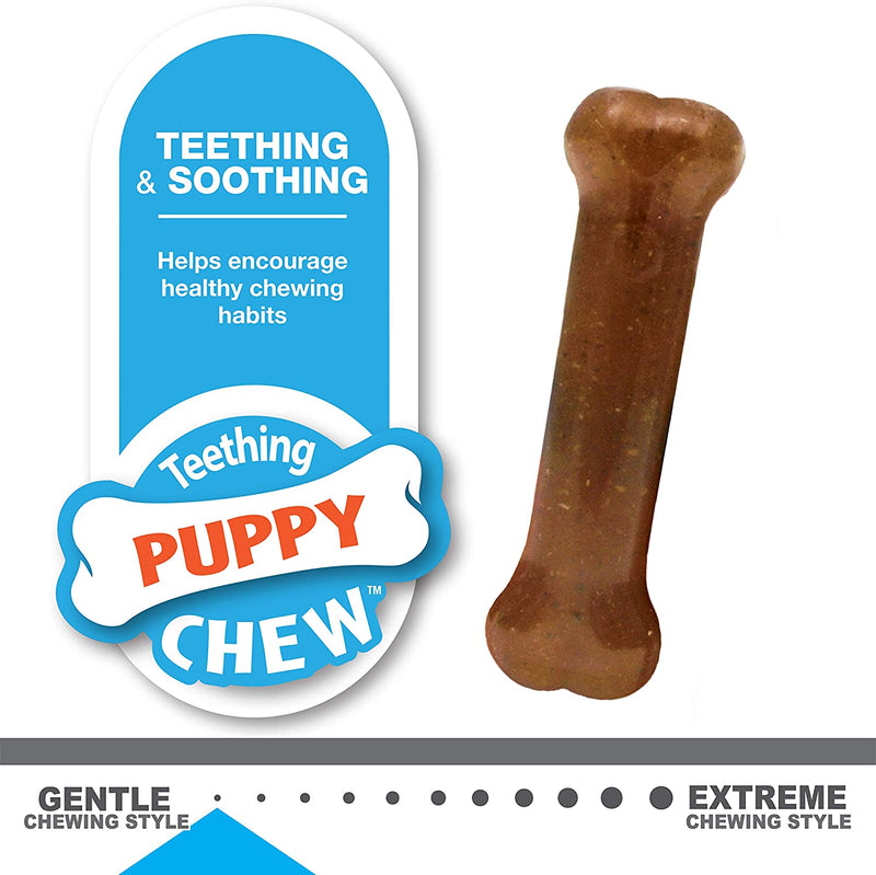 Nylabone Puppy Starter Kit Dog Chew Toys & Treat 3-Count, Small/Regular Nylabone