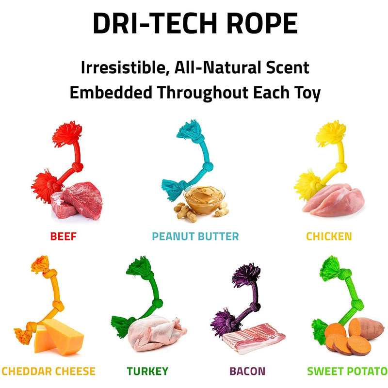 Playology Dri-Tech Rope Dog Toy All Natural Beef Scent, Small PLAYOLOGY