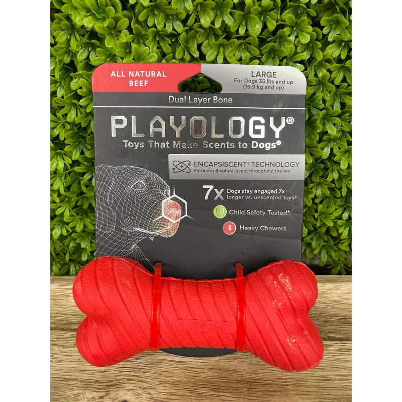 Playology Plush Bone Beef Scented Dog Toy - Medium