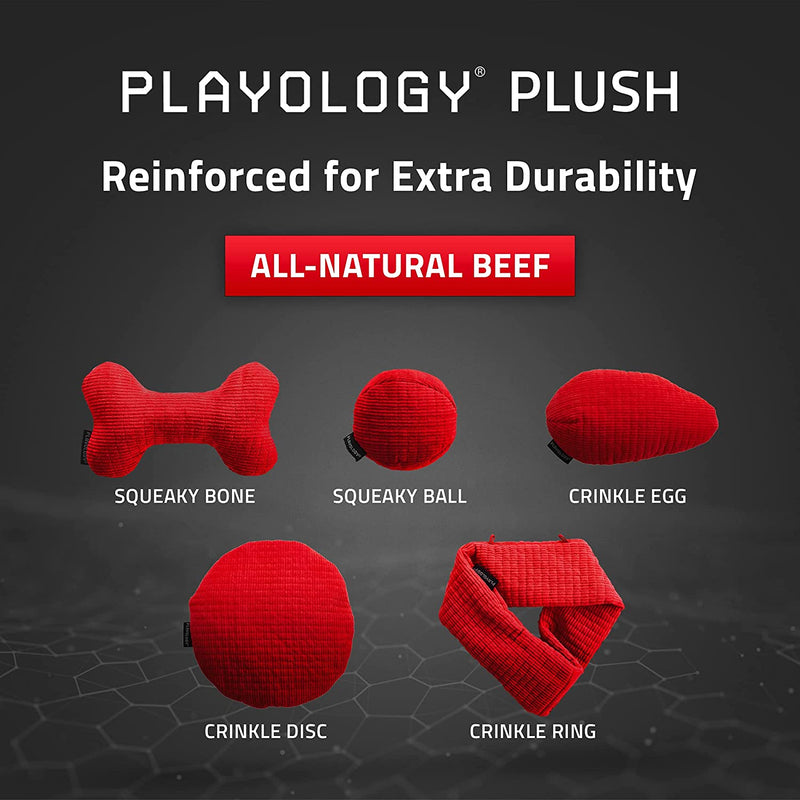 Playology Plush Squeaky Ball Dog Toy All-Natural Beef Scent, Med PLAYOLOGY