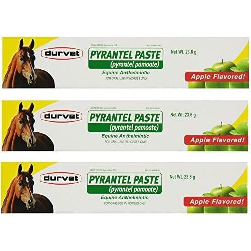 Pyrantel Pamoate Paste Horses 23.6g (Strongid Paste) 3 Pack Durvet