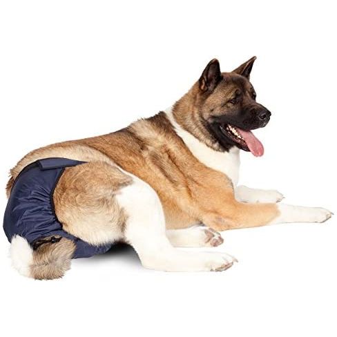 SnuggEase Washable Dog Diaper, XX-Large, Single Integrated Pet Solutions