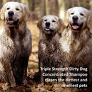 Veterinary Formula Solutions Triple Strength Dirty Dog Concentrated Shampoo 17 oz. Synergy Labs