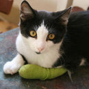 Wrap-It-Up 4" Self Cohesive Flexible Bandages Pets Animals & Humans 18CT, Blue Piccardmeds4pets.com